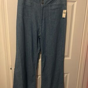 NEW Anthropologie Pilcro and the Letterpress Lightweight Wide Leg Jeans Size 31
